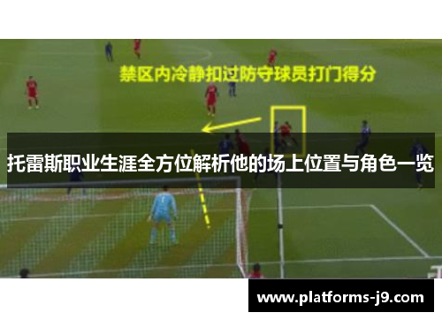 托雷斯职业生涯全方位解析他的场上位置与角色一览