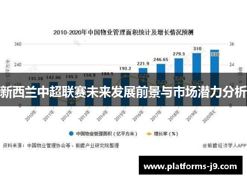 新西兰中超联赛未来发展前景与市场潜力分析